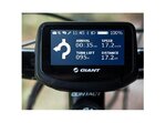 WEB_Image Giant RIDECONTROL EVO Display  410000104-1-691649064.jpeg