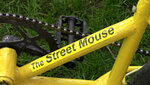 The STREET MOUSE NAME close up 3 INCHES .jpg