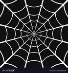 cobweb-or-spider-web-on-dark-background-vector-26321545.jpg