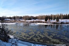 IMG_20201112_1510345.jpg