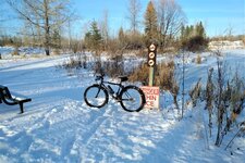 IMG_20201112_1443256.jpg