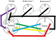 Wiring Loom.jpg