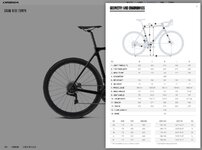 Orbea Gain E-Road Geometry12.2020.JPG