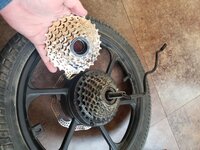 rear_cassette.jpg