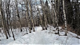 Heritage Ranch Singletrack.jpg