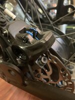 Rear brake.JPG