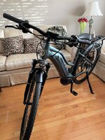 My ebike 02.jpg