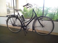 Pashley012107.JPG