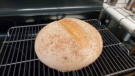 WholeGrainBoule09.jpg