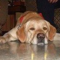 Luis fernando posada González