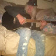Hippiescott