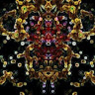 qnt