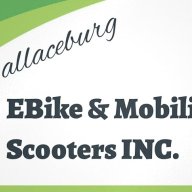 wallaceburg e-bike