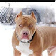 petey619