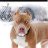 petey619